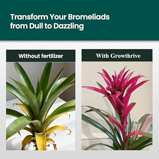 Fertilizante Líquido para Bromelias 10 oz GrowThrive miniatura 6
