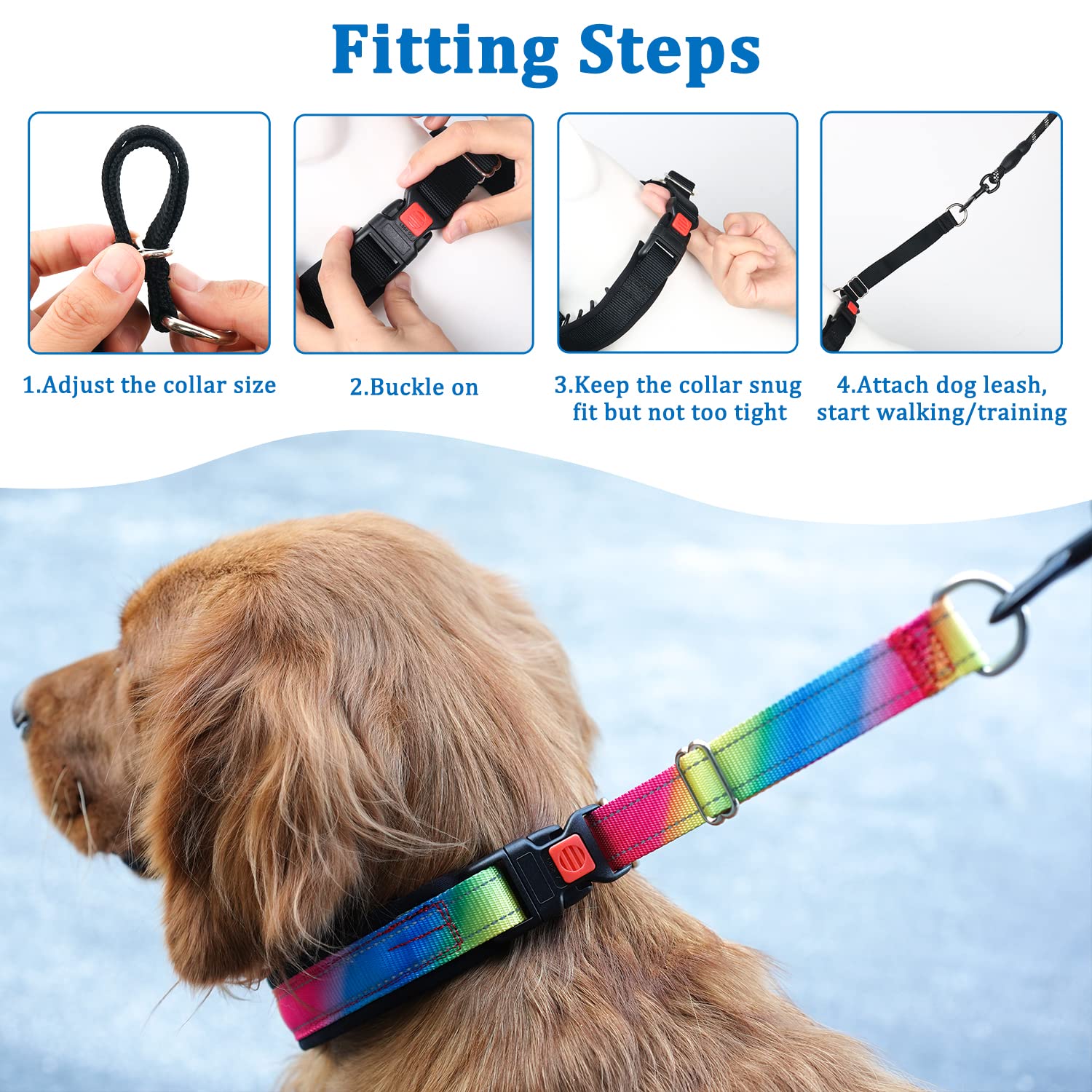 Dog Training Collar Hidden Prong Collar For Dogs Martingale Dog
