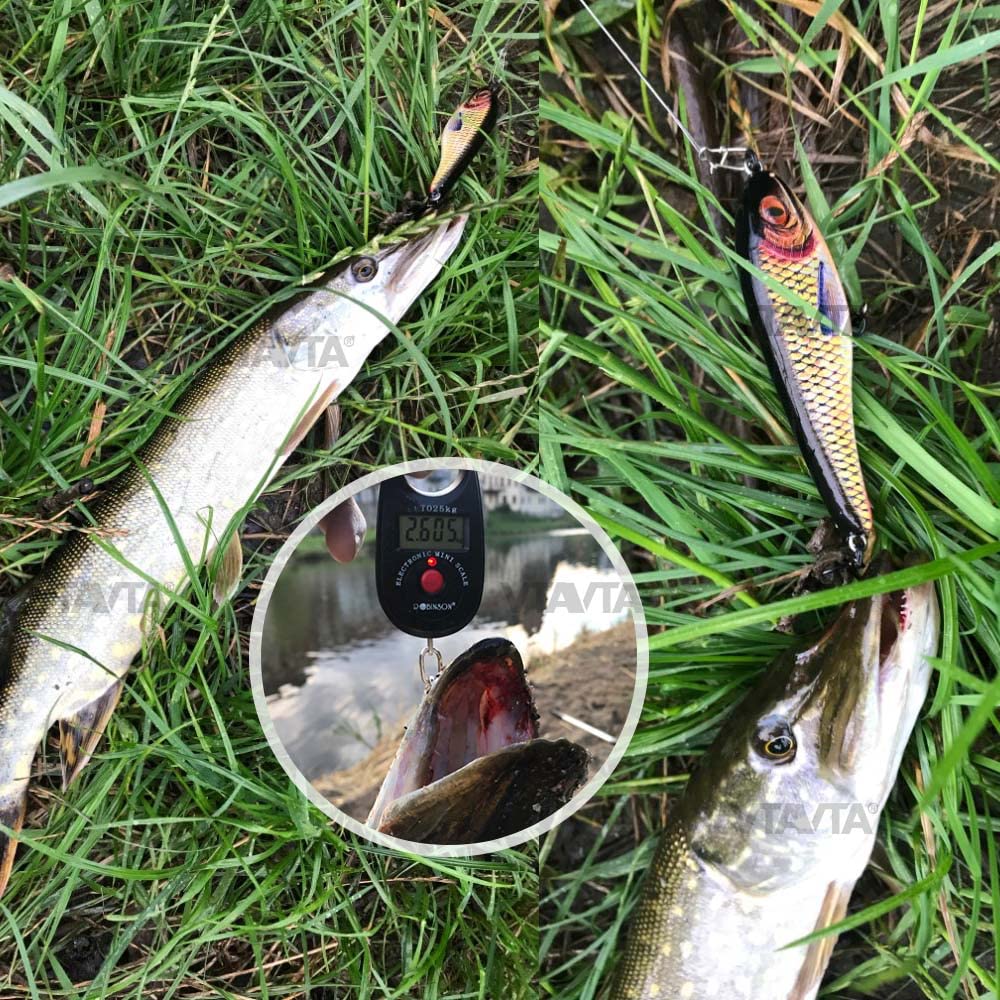HUFFA Juego de 5 señuelos de Pesca Jerkbait, señuelos Wobblers Que se Hunden, señuelos for lucios, cebos Artificiales Jerkbait, Aparejos de Pesca de lubina con Caja