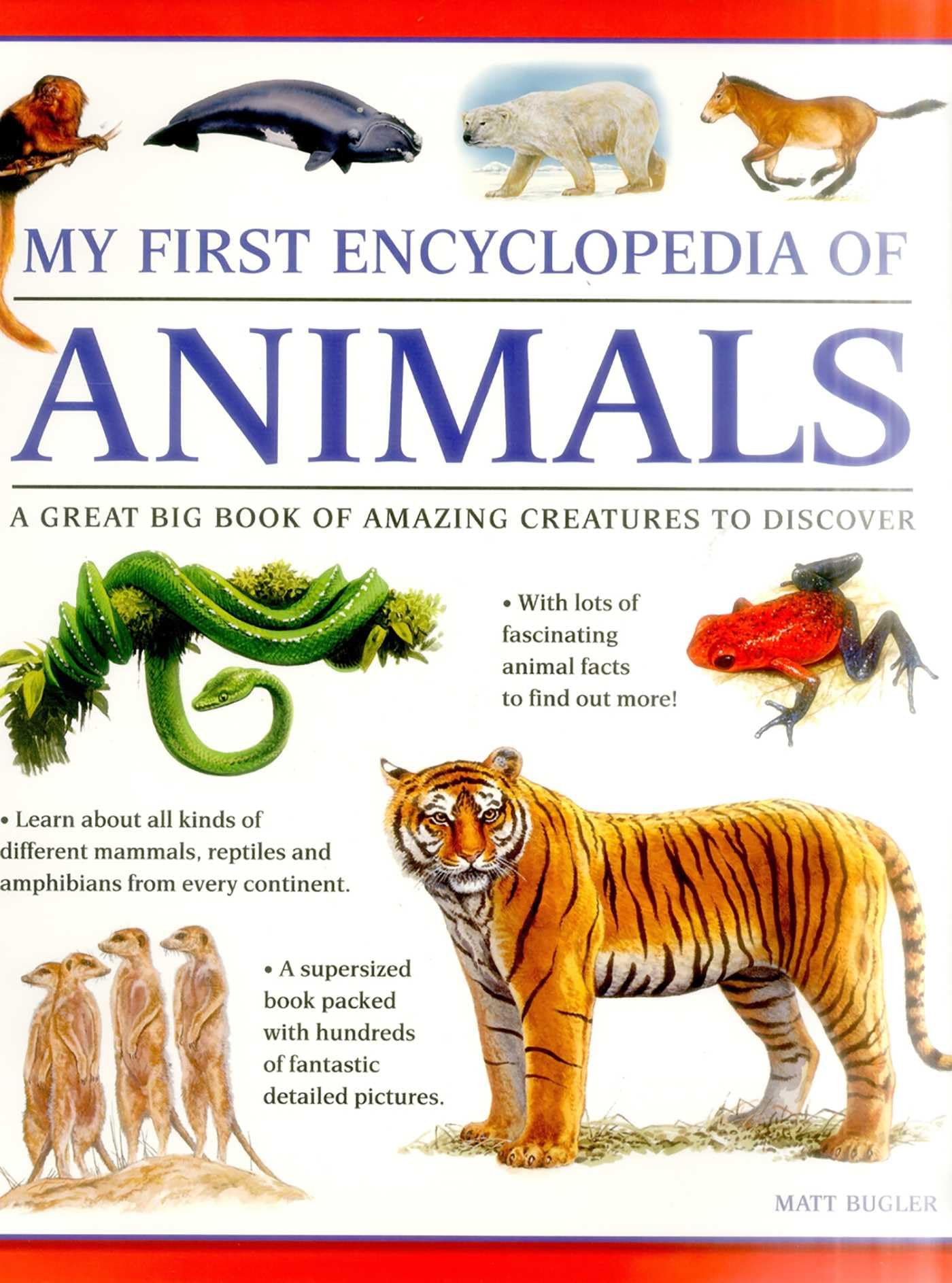 My First Encylopedia of Animals: A First Encyclopedia with Supersize Pictures