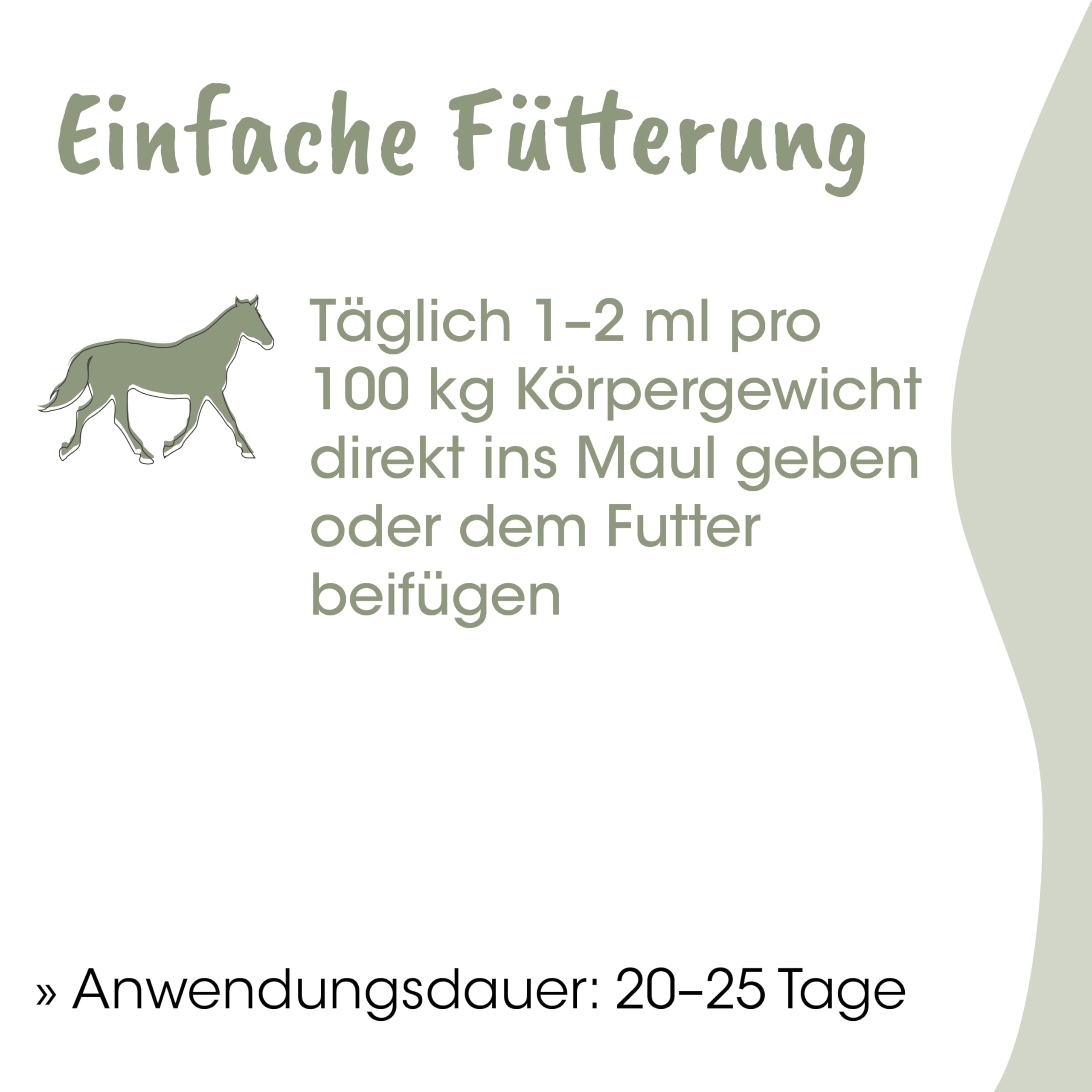 EquiGreen DarmRein 250ml - Natürliches Pferdefutter zur Unterstützung der Darmflora und Verdauung