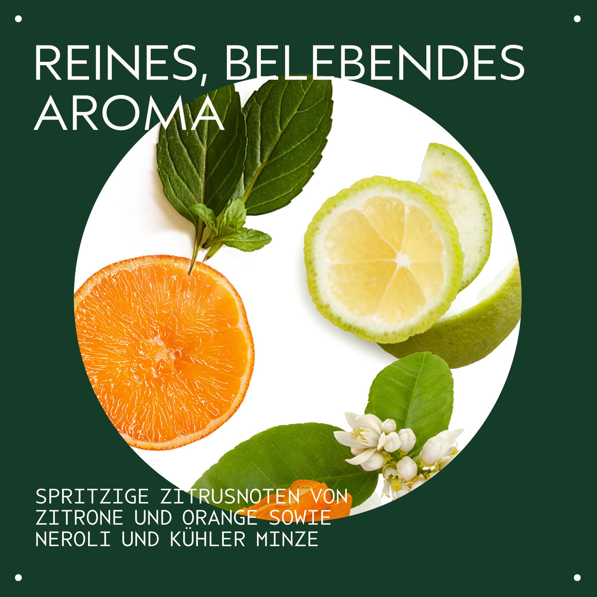 Aveda Scalp Solutions Balancing Shampoo, sanftes, klärendes Shampoo für alle Haartypen, entfernt Rückstände und Ablagerungen, verbessert die Feuchtigkeit der Kopfhaut, zu 94% natürlichen Ursprungs*