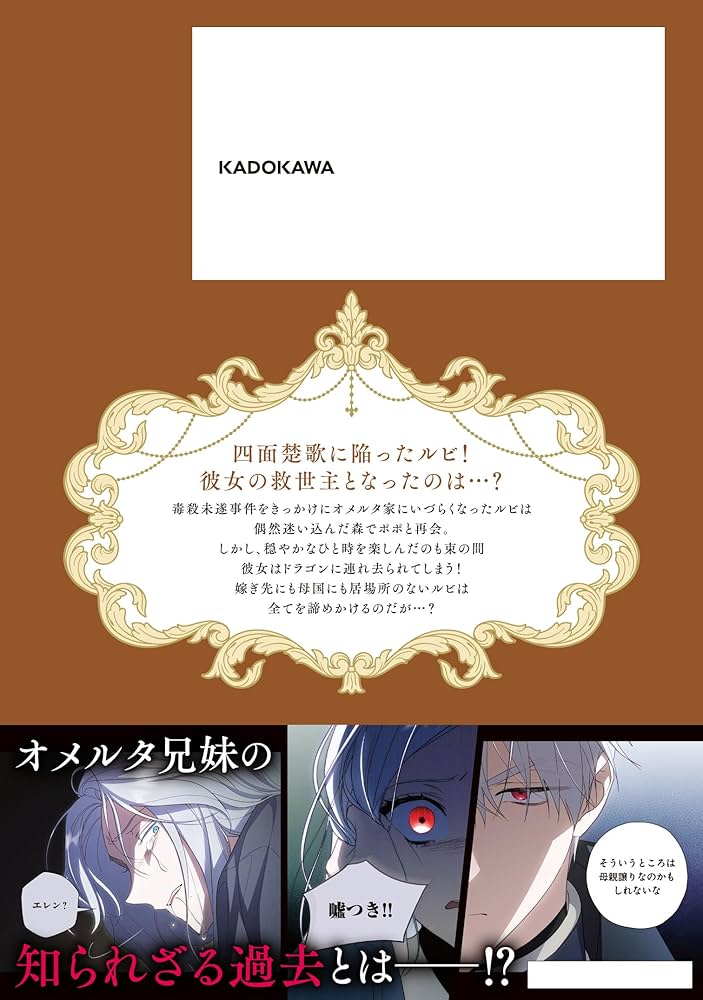 Amazon.co.jp: 夫を味方にする方法 4 (フロース コミック) : SIRU