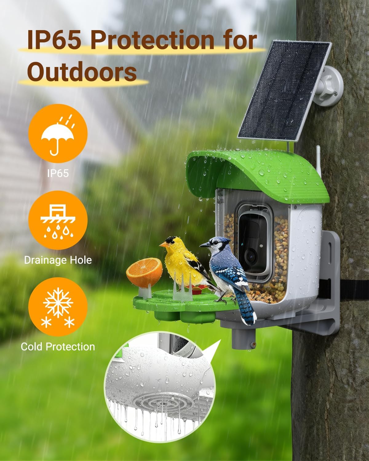 Bird Feeder with Camera, AI Identify 11000+ Birds, Smart Birdwatching Camera Solar Powered, Auto Video Capture, Instant Notifications, Only Support 2.4GHz WiFi