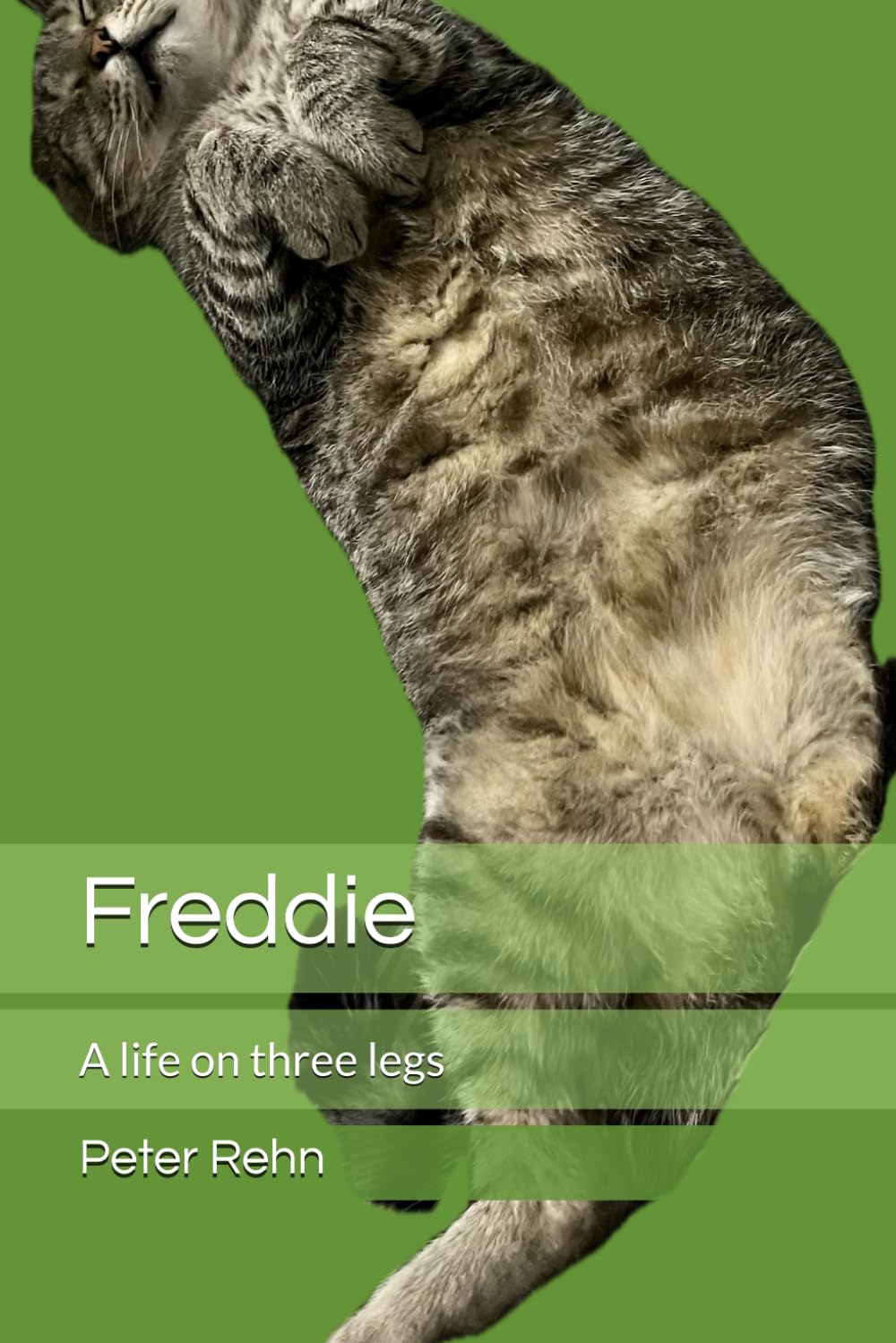 Freddie: A life on three legs