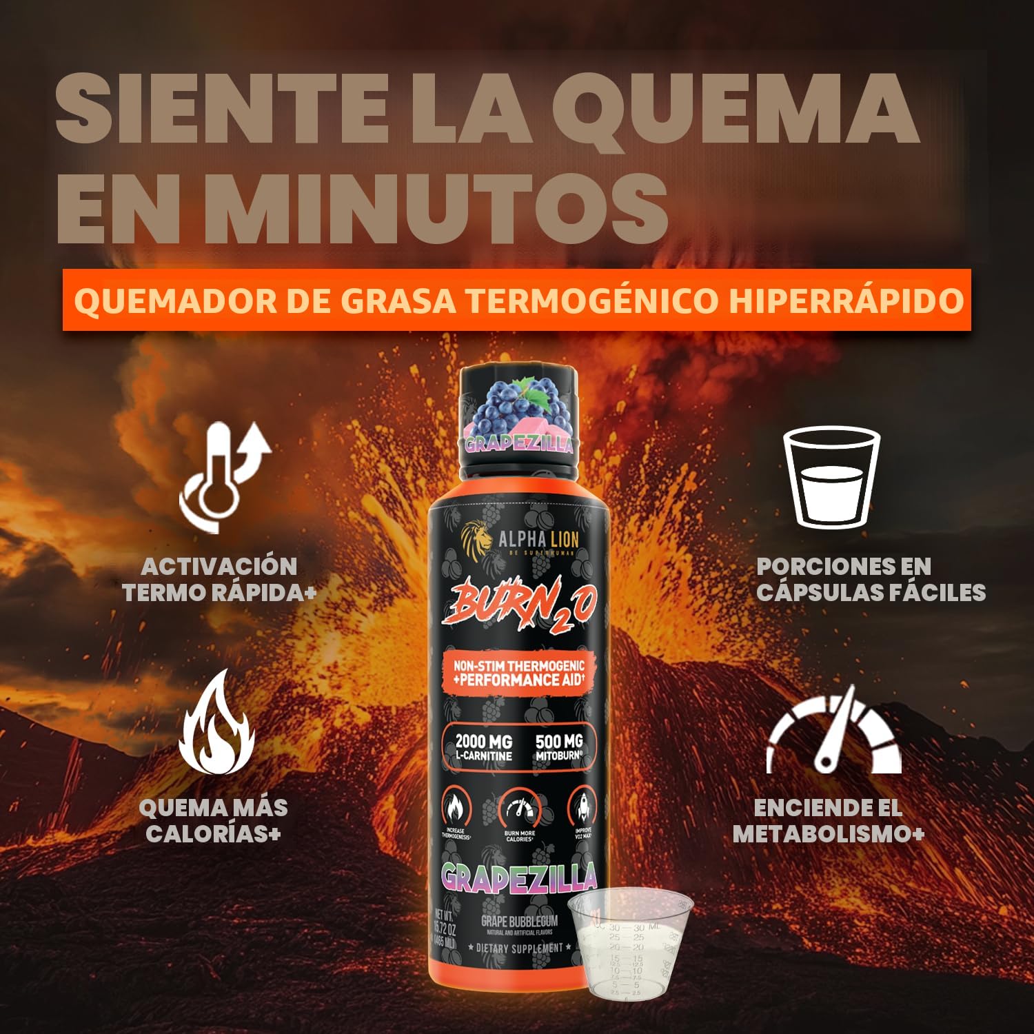 alpha lion burn2o l-carnitine liquid 2000mg Líquido – Quemador de grasa termogénico súper libre de estimulantes con MitoBurn® & CaloriBurn GP®, impulsor del metabolismo, cero calorías, sin azúcar (31 : Salud y free liquid shot 403 ‒ Peptides: separating glutathione cream and face wash Catalyzed Whey Protein | 24 G Protein | 0 G Sugar | 0 Trans Fat (Flavor):Cream & Cookies