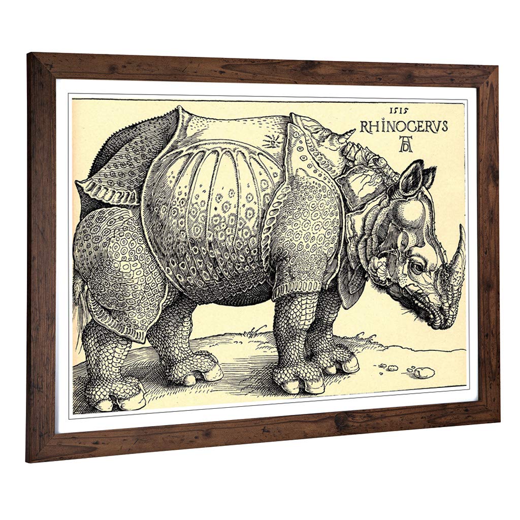 Big Box Art Framed Print of Albrecht Durer Rhinoceros Design | Wall Art Picture | Home Decor for Kitchen, Living, Dining Room, Bedroom, Hallway, Office, Walnut, A2 / 24.5x18 Inch / 62x45cm