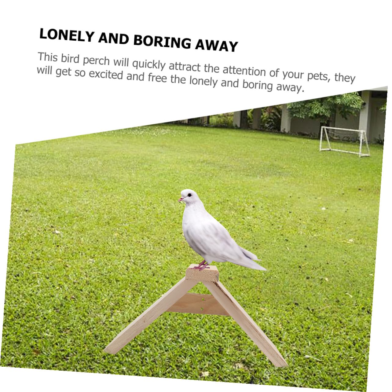 Perchas de Madera para Aves y Loros, Soporte de Descanso 5 Piezas | Color Caqui, Uso Doméstico y Zona de Juego, Accesorio para Aves de Compañía