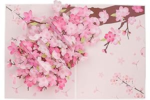 3D Pop Up Cards: Anniversary, Get Well, Mother & Birthday Cards for Women