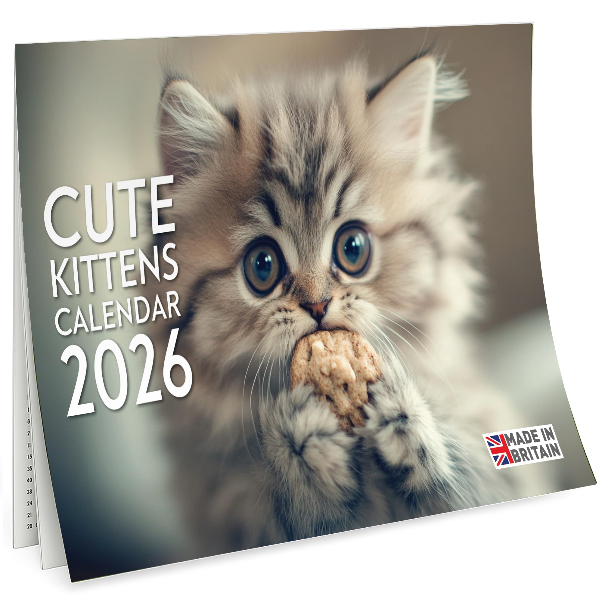 2026 Calendar Cats 2025 2026 Calendar Cat Naps Calendar 2025 2026 713dKY SPlL 