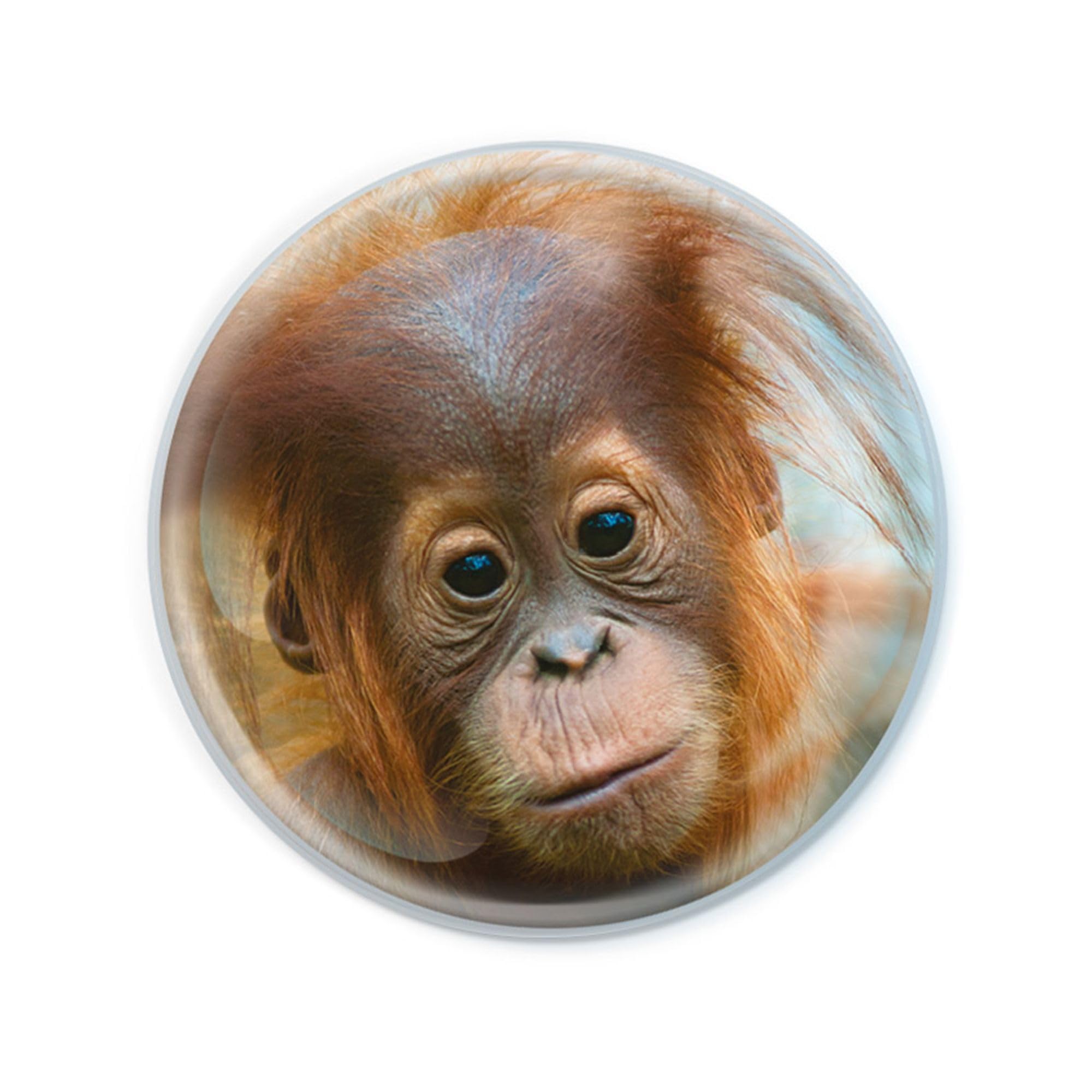 Deluxebase Magnidome Orangutan Fridge Magnet – Crystal Glass Dome Animal Magnets for Fridges, Decorative Strong Magnet for Kitchen Accessories, Novelty Gifts and Cute Home Decor.