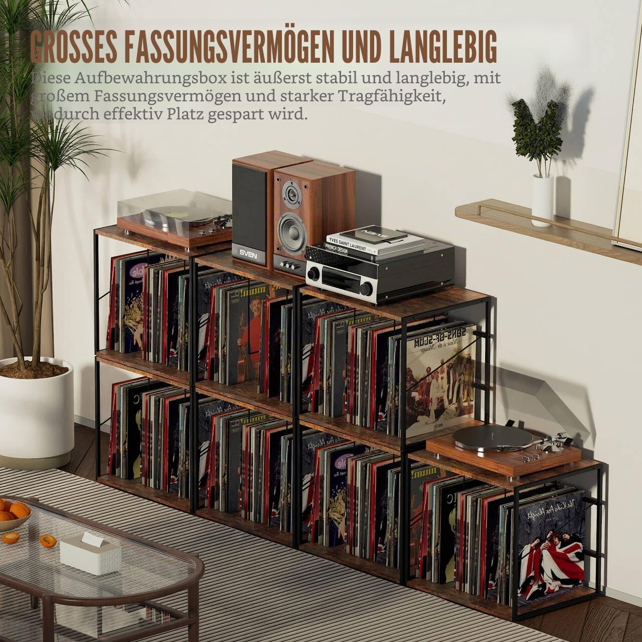 Schallplatten Aufbewahrung, Schallplattenständer für 80–100 Alben, Schallplatten Wandhalterung & Vinyl Halter mit Beweglicher Trennwand, Vinyl Record Storage Holder