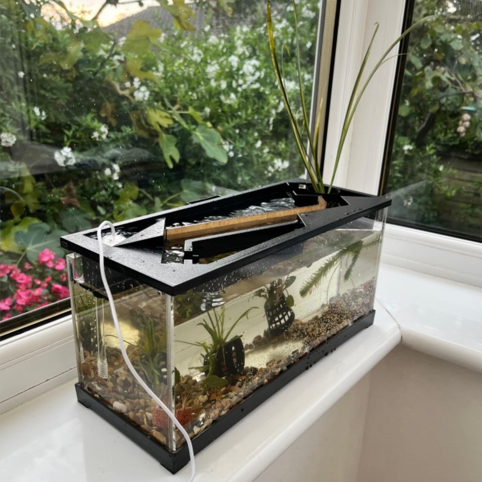 Petit Aquarium Rectangulaire En Verre Transparent écologique Pour Salon, Bureau, Bureau, Décoration D'aquarium (taille S