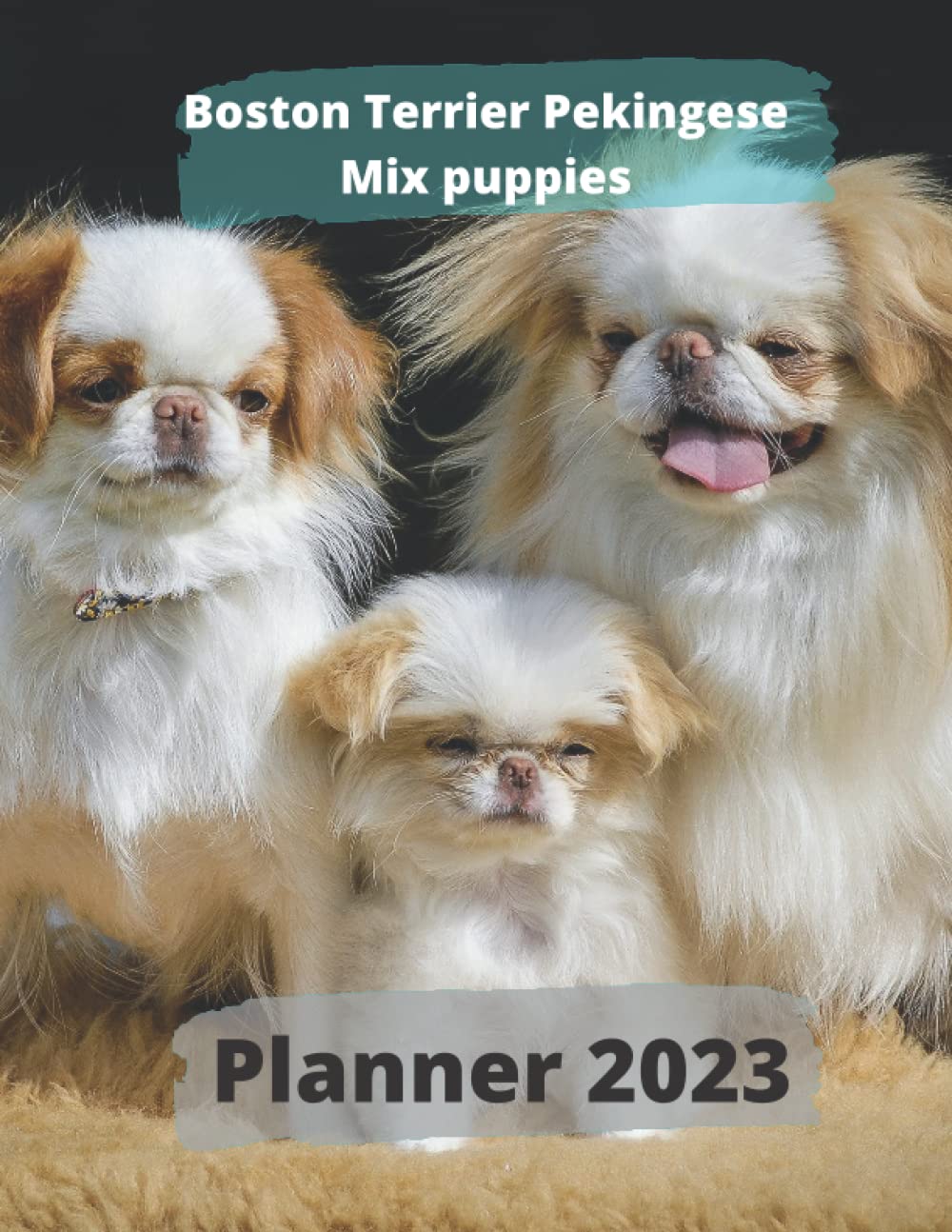 Boston Terrier Pekingese Mix puppies Planner 2023 : Planner, Lian