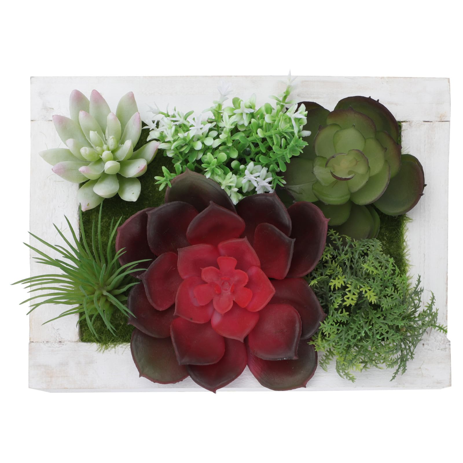 Cadre de plantes succulentes artificielles en bois deco murale interieur durable
