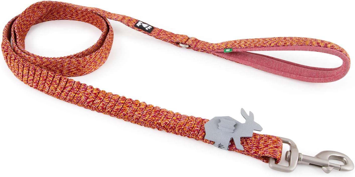 Spring leash Clearance
