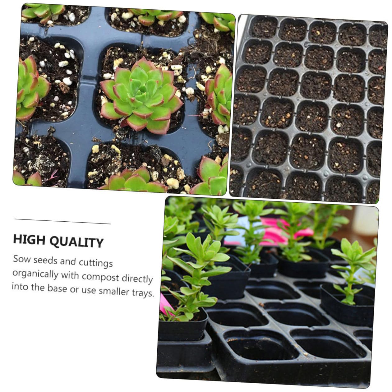 HEMOTON Vassoio Germinazione 200 Celle Nero in Plastica Riciclata 5 Pezzi | Design a Fori Aperti, Bordi Lisci, per Semina Domestica, Adatto a Principianti