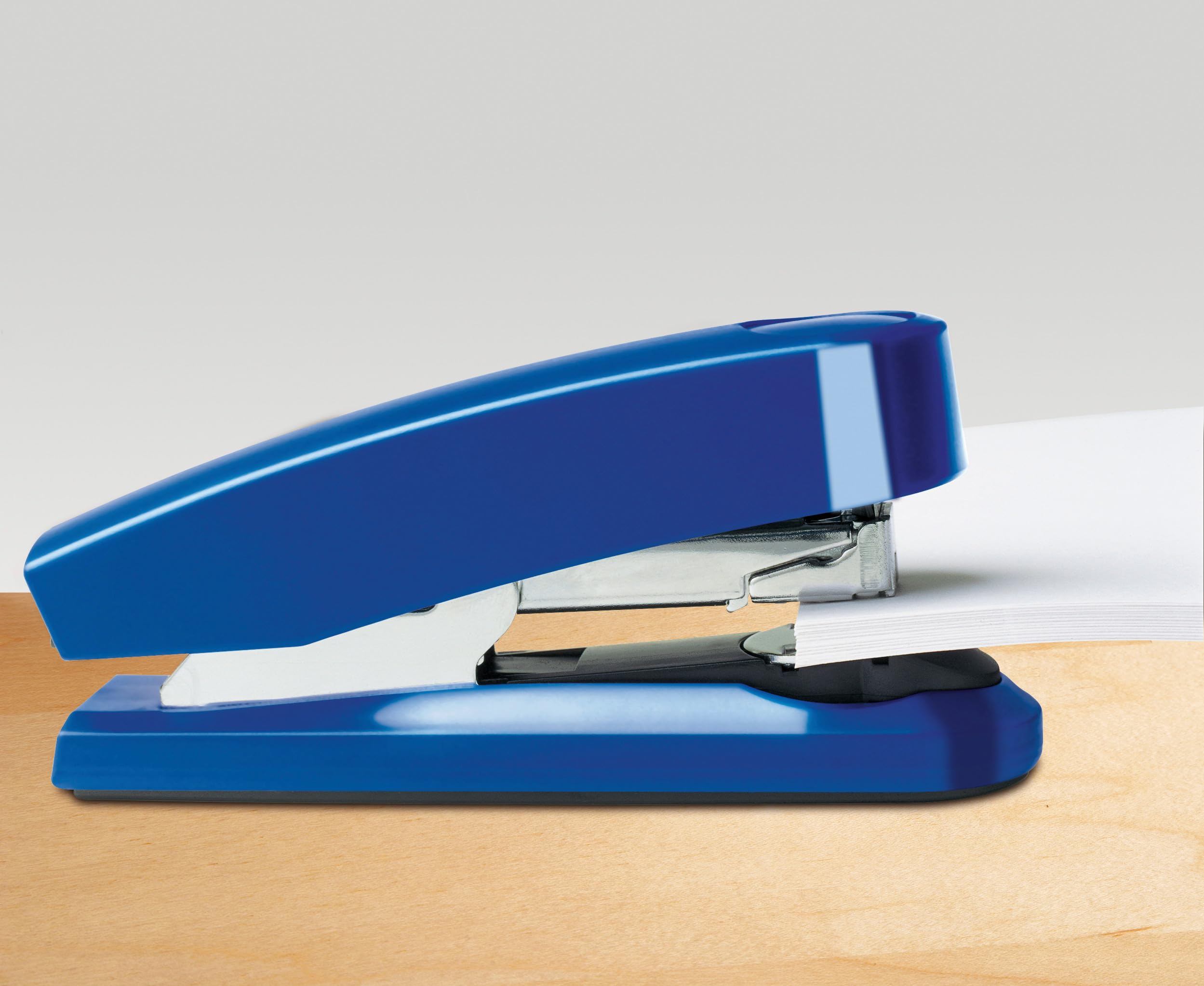Schneider Novus Agrafeuse B4 Fc Flat Clinch (Bleu)