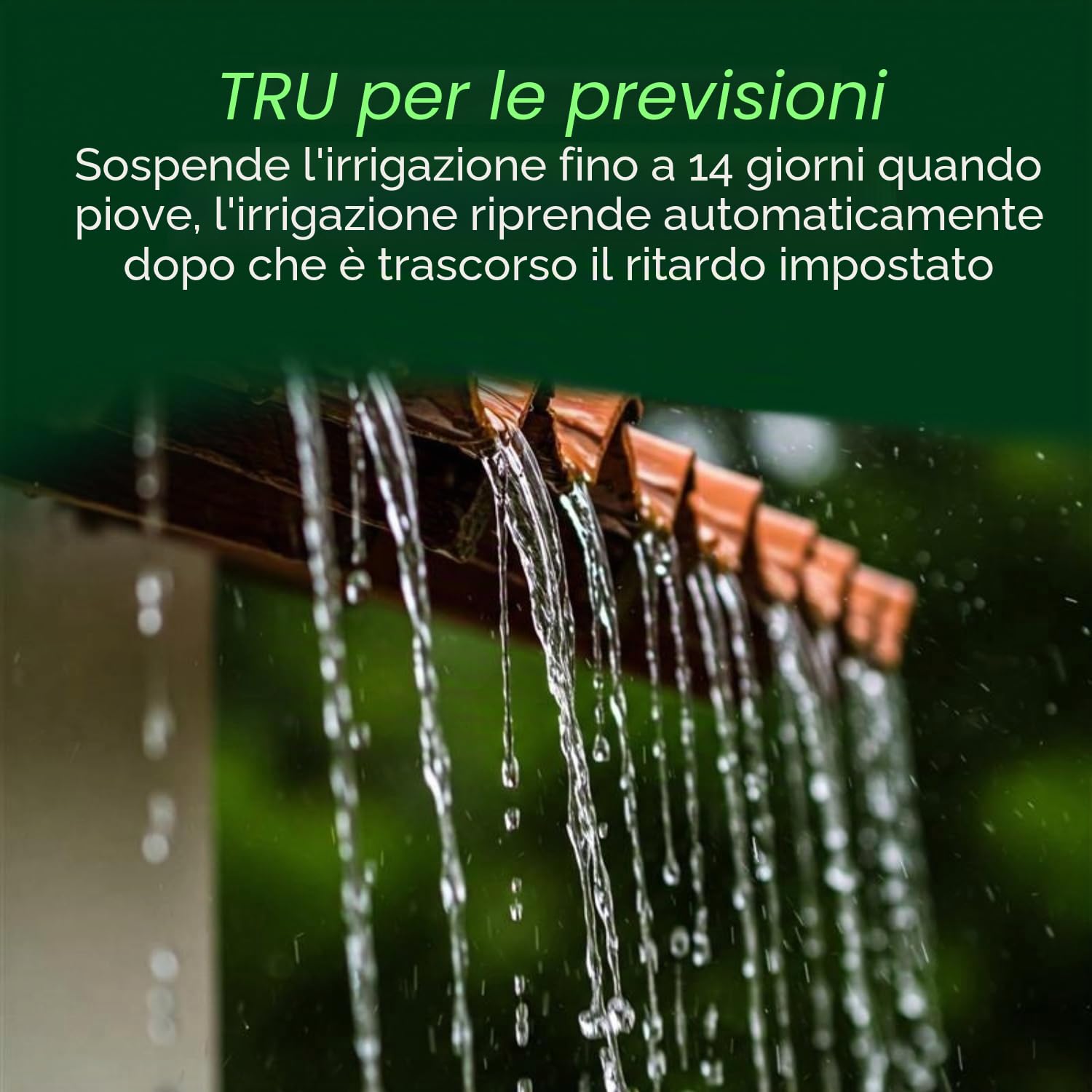 Rain Bird TRU6I Regolatore/Timer per Irrigazione Interna Basato su Programma, Modulo WiFi Ready, 6 Zone/Stazione