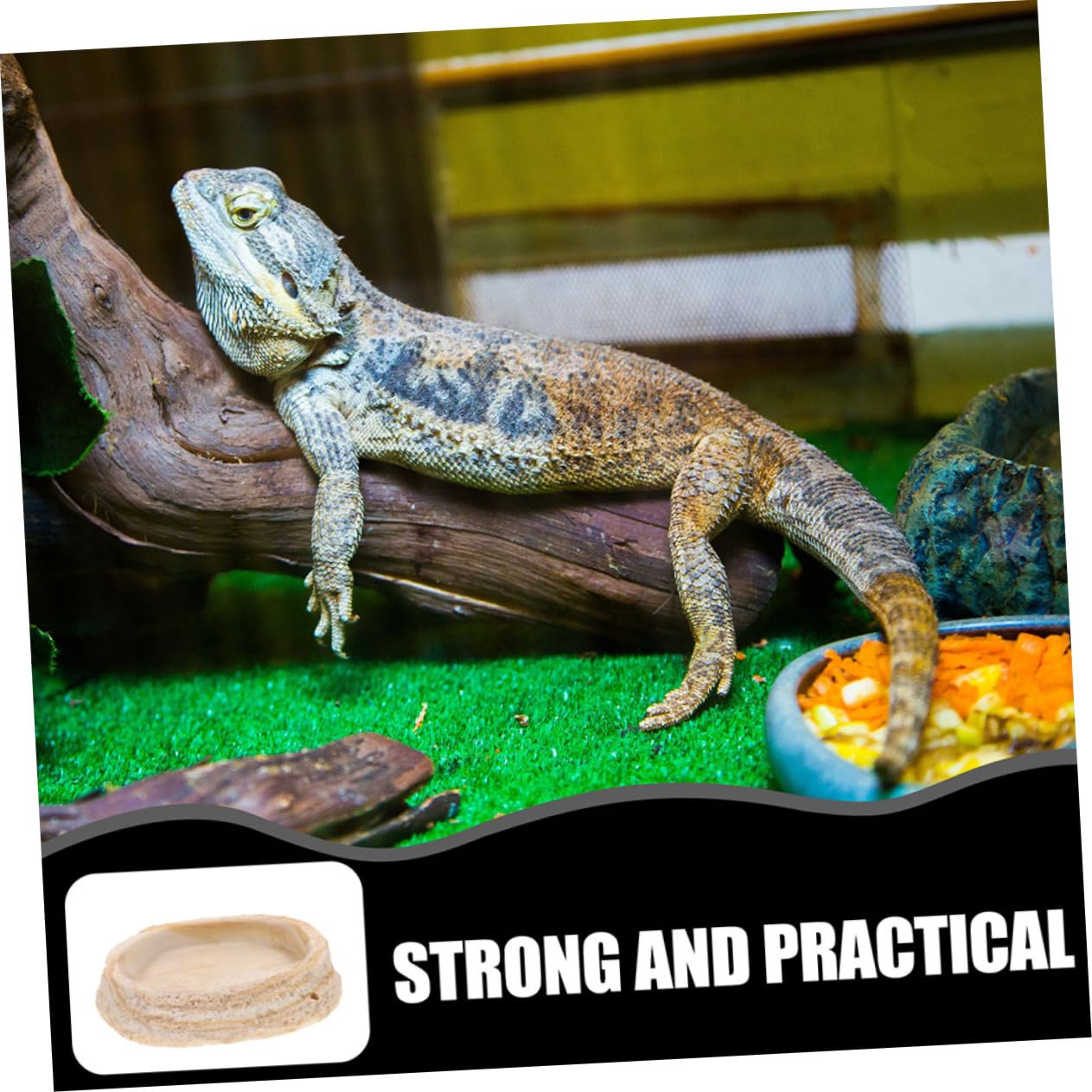 2 Cuencos de Resina para Reptiles Borde Antivuelco, para Geckos y Serpientes en Terrario