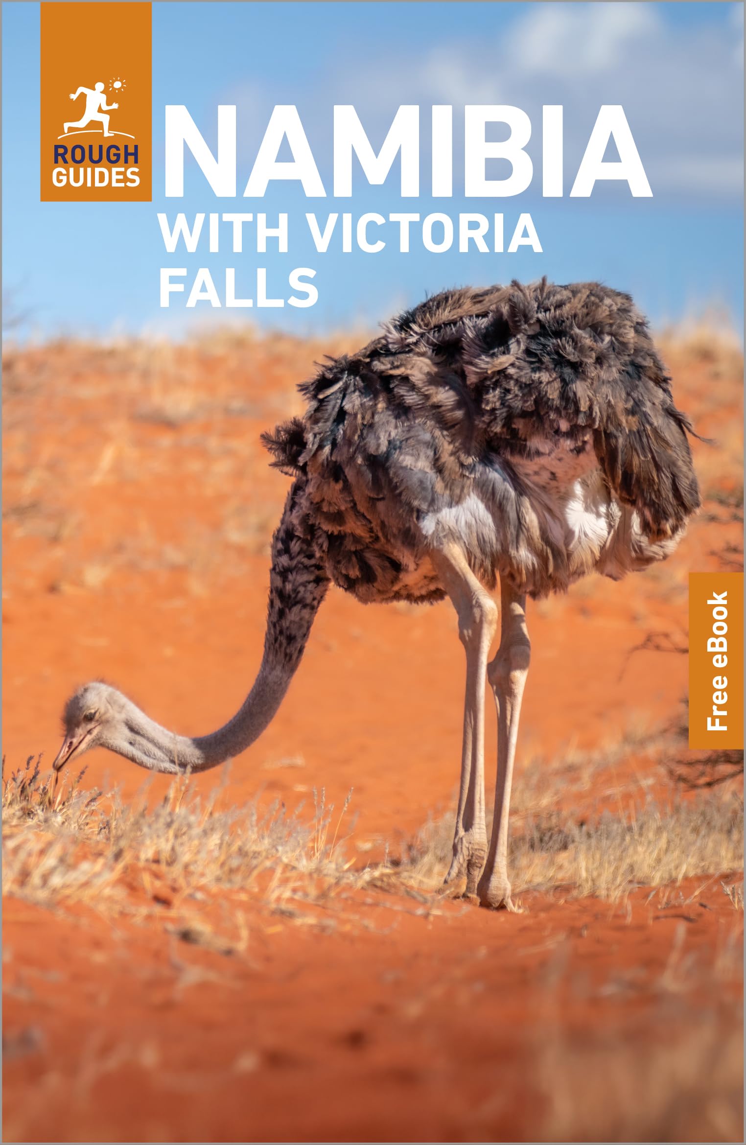 Rough Guides Namibia with Victoria Falls: Travel Guide with eBook: 2026-2027 | Insider Tips | Must-See Sights | Maps & Itineraries | Covers: Windhoek, Etosha, Victoria Falls and more