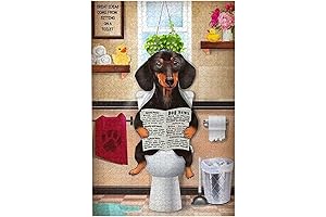 Dachshund Dog Sitting On Toilet Jigsaw Puzzles 500 Pieces for Adults
