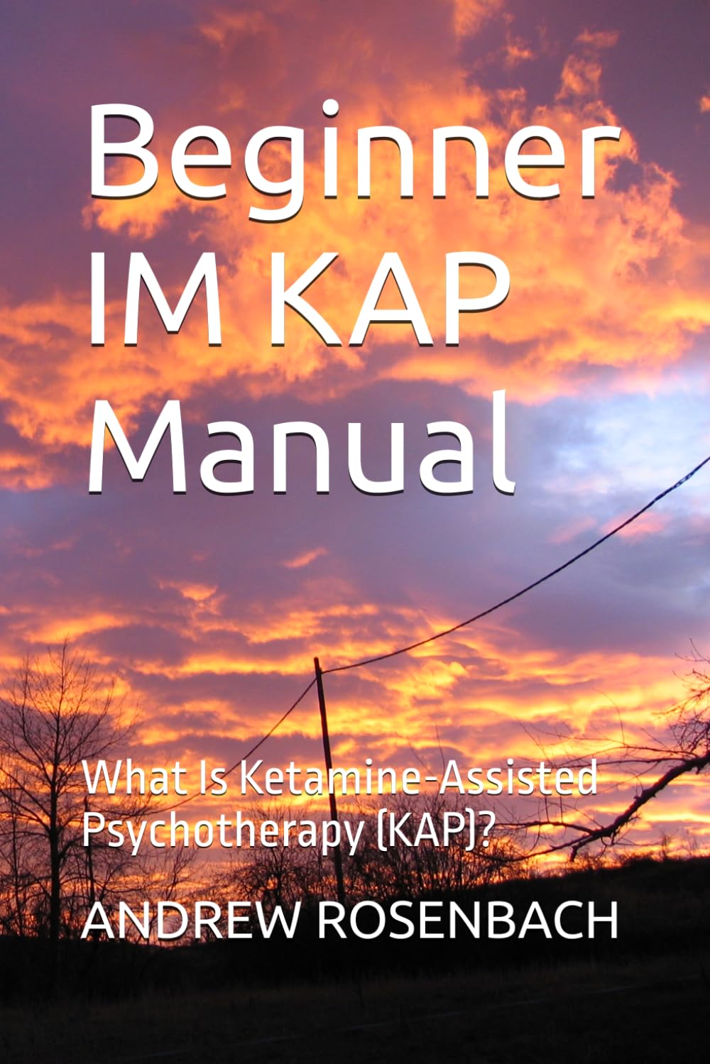 Beginner IM KAP Manual: What Is Ketamine-Assisted Psychotherapy (KAP)?: 2