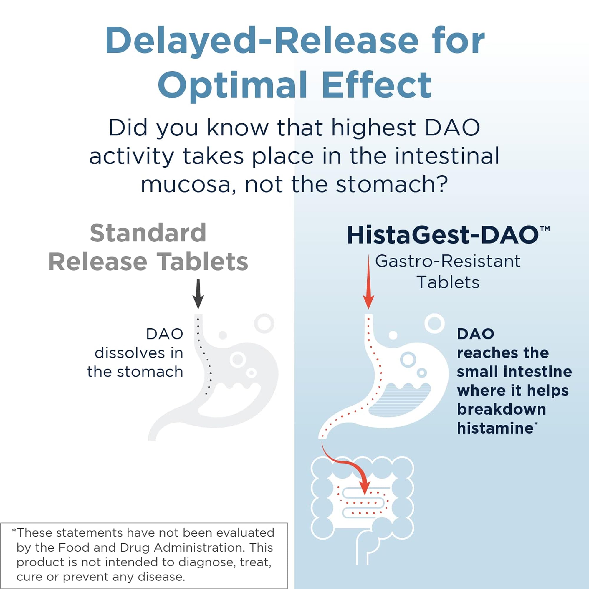 Designs for Health HistaGest-DAO, Digestive Enzyme Support, 60 Tablets — Amazon image 4