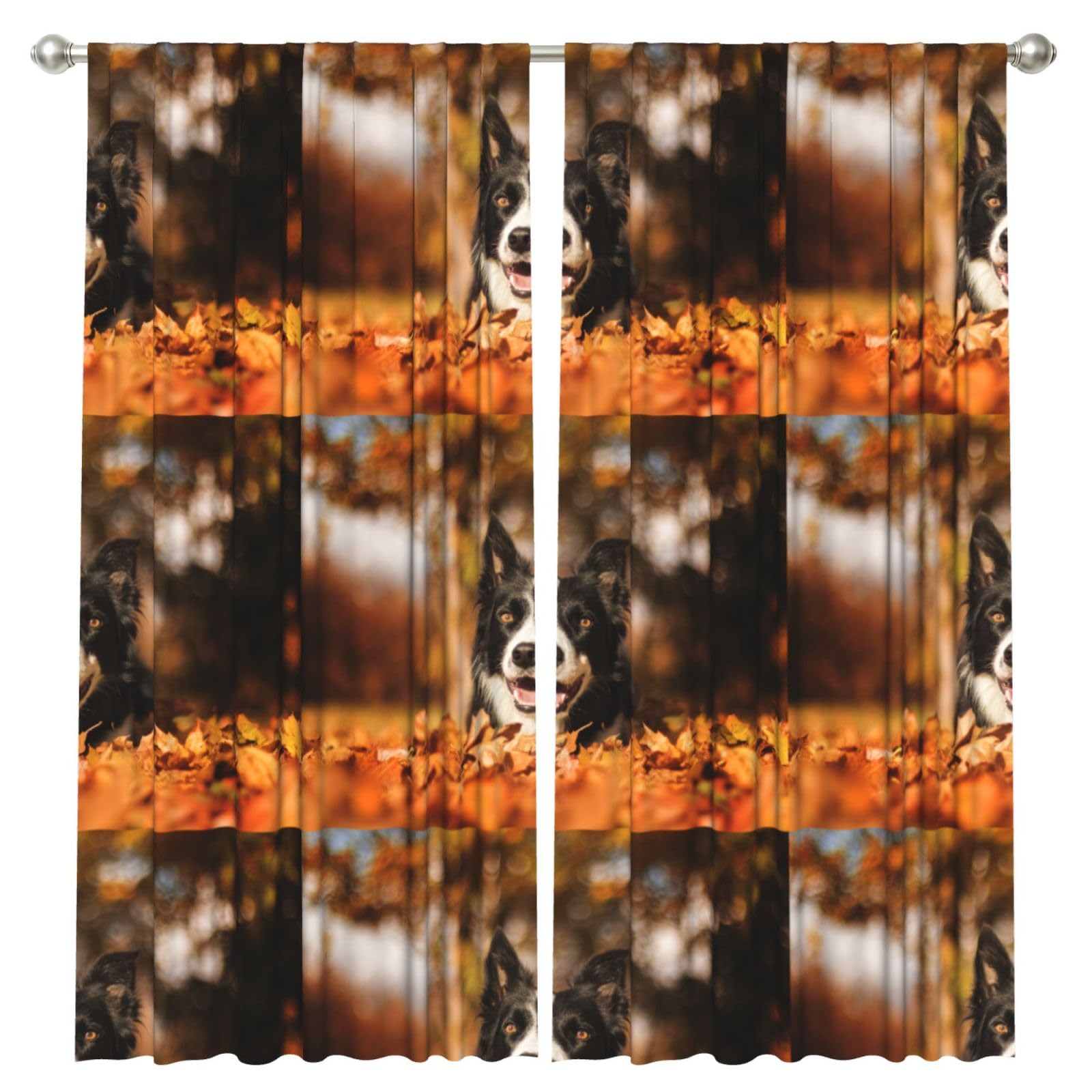 InOmak Border Collie Bokeh Autumn Black Border Collie, 2 Panels Window Curtains 52 x 84 Inch Blackout Curtains for Living Room Bedroom