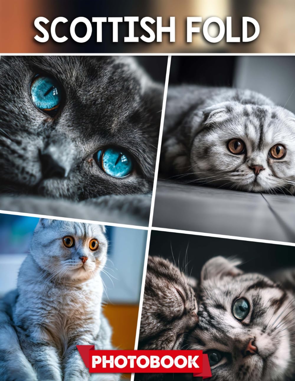 Scottish Fold Photo Book: Picture Collection For Adults With Dementia And Alzheimer’s Patients – Cute Cat Images Showcasing Unique Folded Ears And Playful Expressions