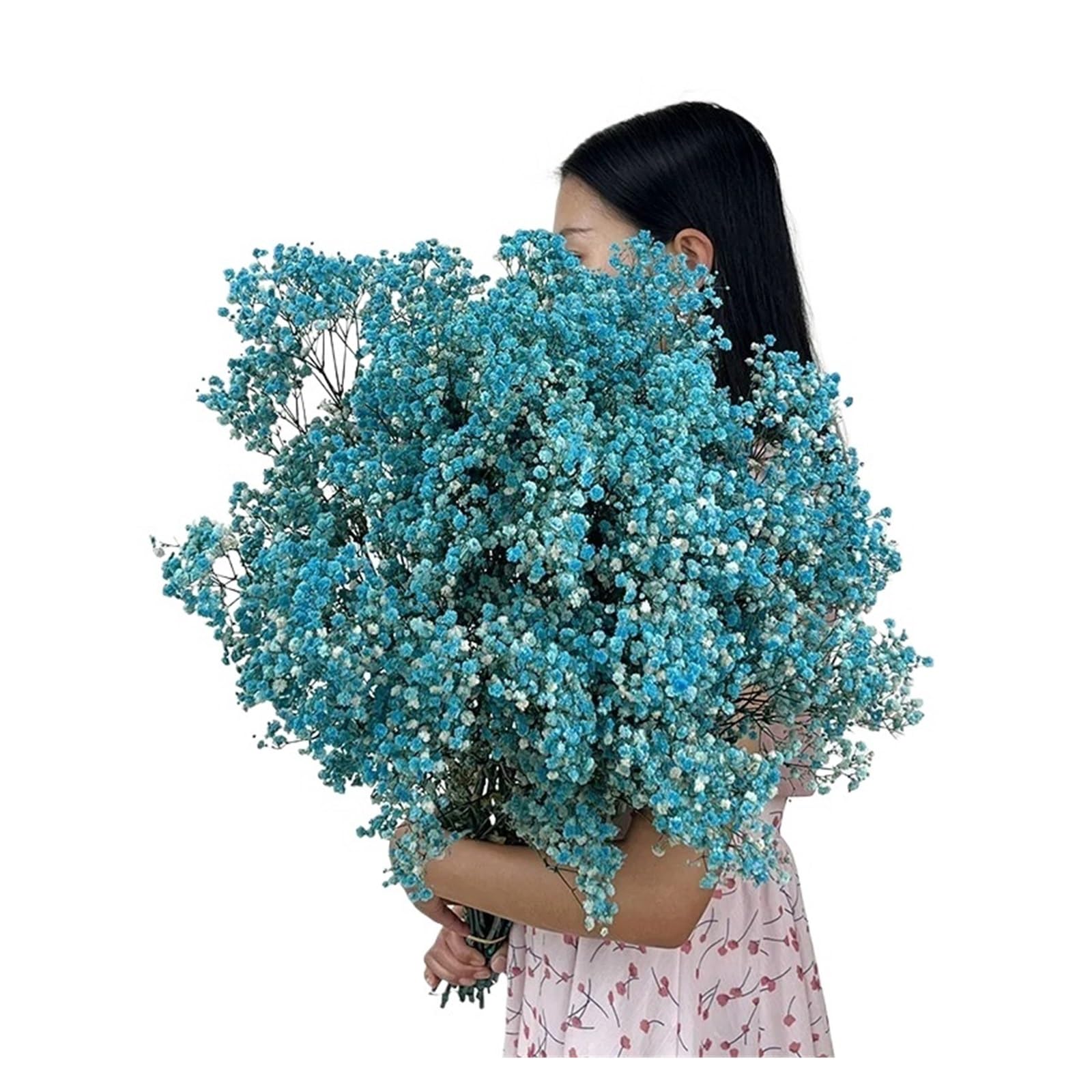 WJIAYAO dried gypsophila flowers Dried Baby Breath Flowers Gypsophila Bouquet Bridal Wedding Decoration Home Decor(Blue,80g)
