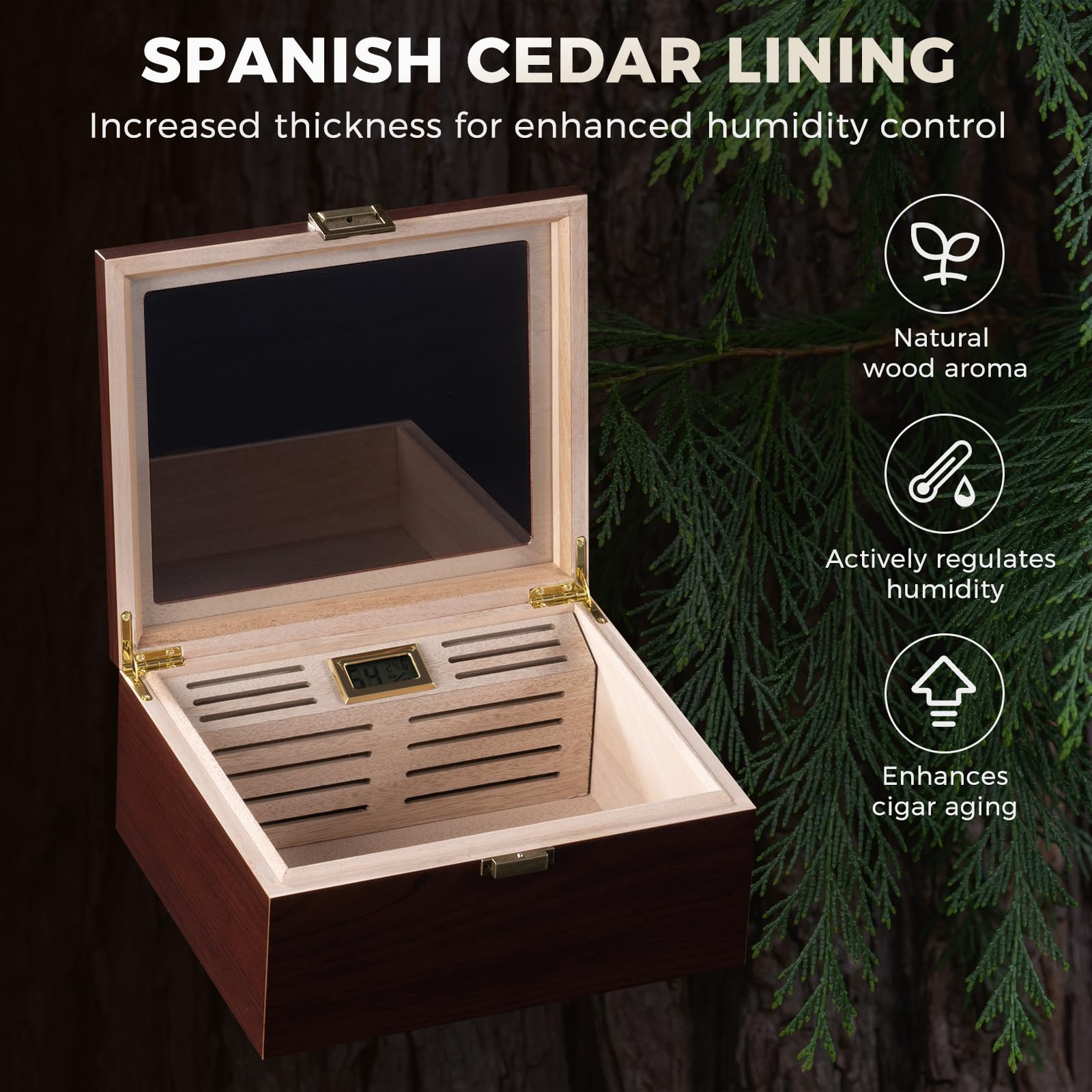 ProCase Zigarren Humidor aus Holz, mit Luftbefeuchter, Zedernholzfutter, Glasplatte, digitalem Hygrometer -Groß, Braun