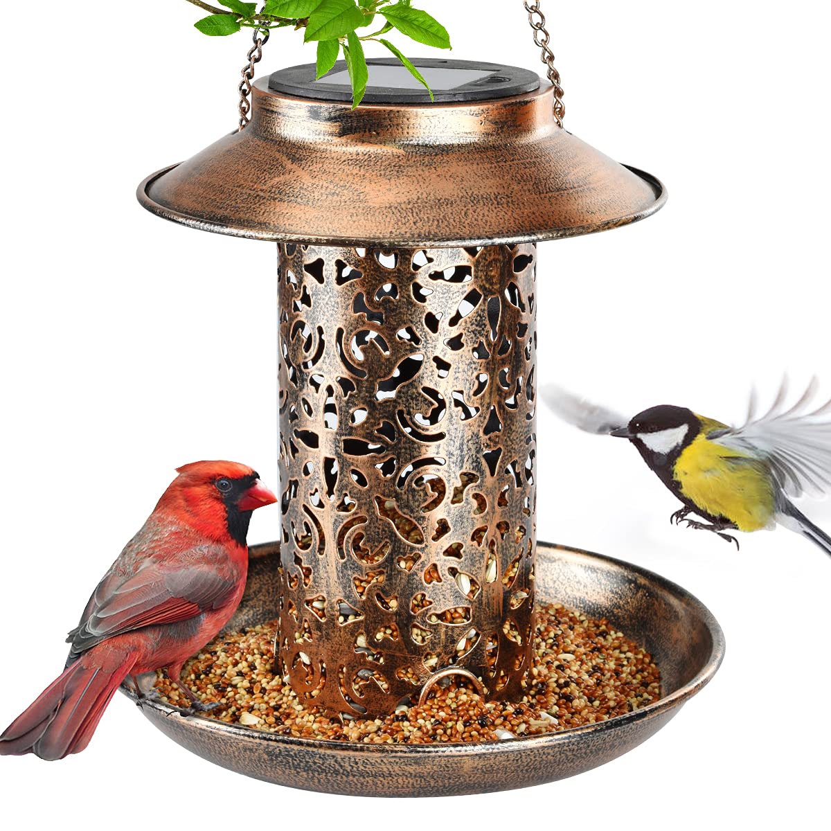 Bird feeders patterns