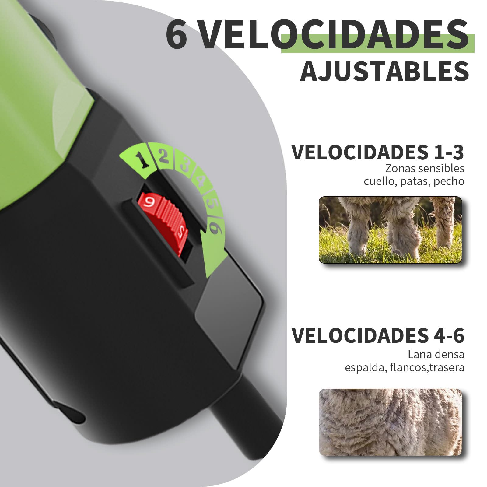 KEXSLARR 1200W Esquiladora Ovejas Profesional, Maquina Esquilar Ovejas 6 Velocidades 3200 RPM, Incluye Manual Español y Kit Completo con Maletín, Cortapelos Eléctrico para Cabras Alpacas (verde) - 5