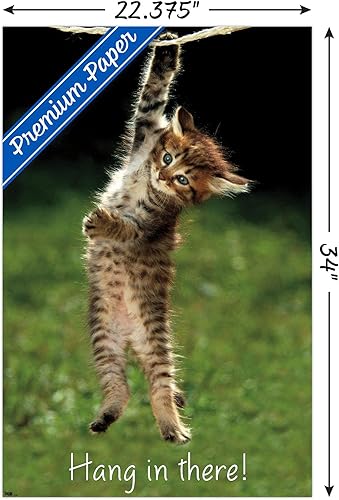 Miniatura 3 de Trends International Póster de pared prémium con diseño de gatito para colgar en allí, 22.375 x 34 pulgadas