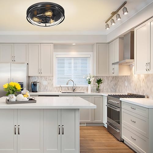 Miniatura 8 de Luminzone Lámpara de techo de montaje empotrado de 16 pulgadas con pantalla de vidrio transparente, 3 luces para interiores y exteriores, luces de