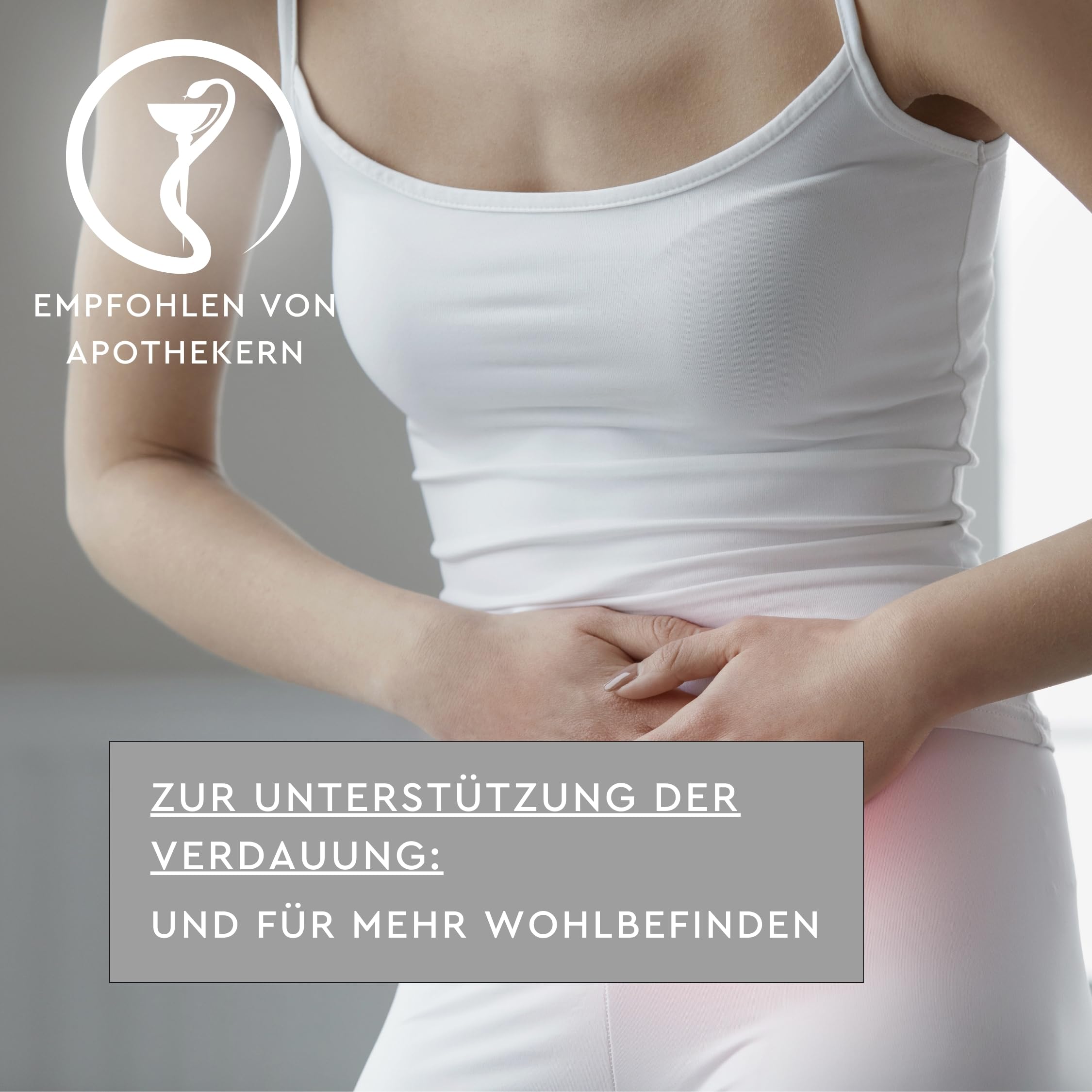SUNLIFE Artischocken Kapseln hochdosiert I 1 x 60 Stück I Cholin mit Artischockensaftkonzentrat I Bitterstoffe für Verdauung & normale Leberfunktion I glutenfrei laktosefrei sojafrei