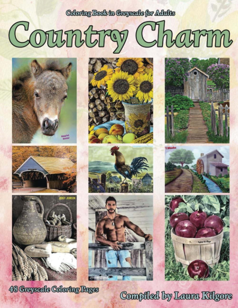 Country Charm: 48-Page Coloring Book in Greyscale for Adults. With Country settings being the theme for this book. If you love things from the ... From landscapes to people, with so much more.