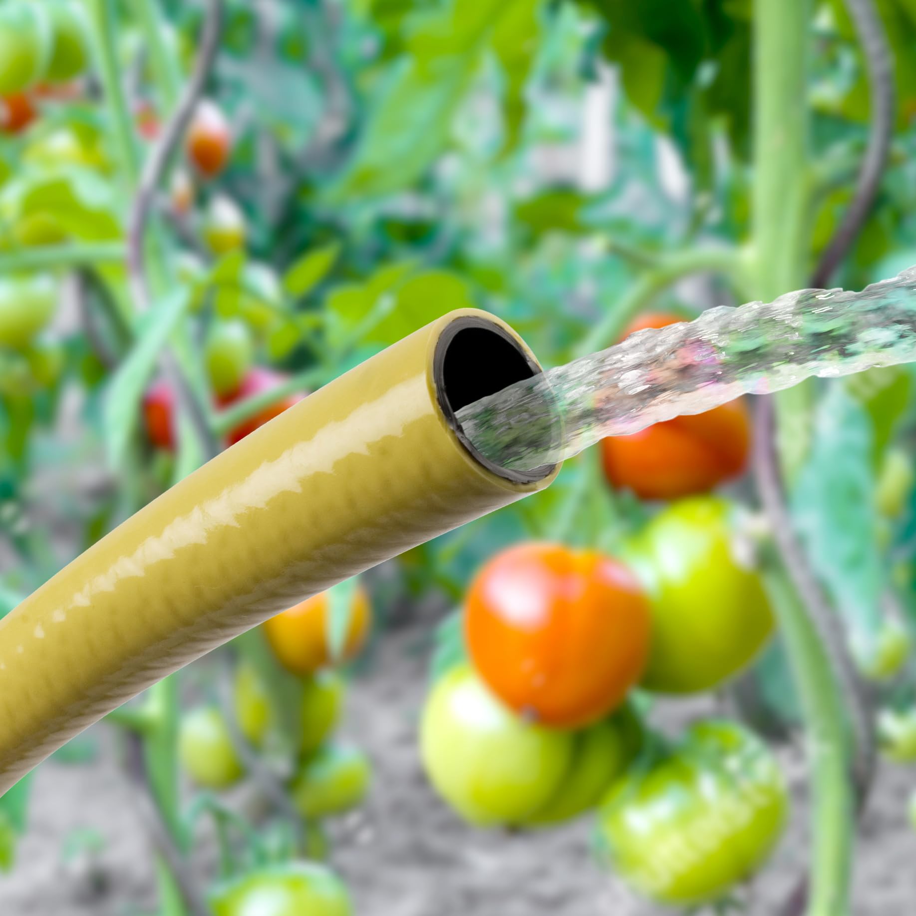TATAY Manguera de Jardín 50 m Flexo de PVC 50 Metros 60º y -20º Agri Line | Manguera Jardín | Diámetro 3/4" 19mm | Protección Anti-UV | 20bar Flexibilidad | PVC y Malla Poliéster | Garantía 3 Años
