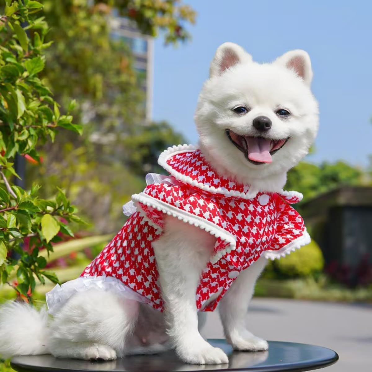 2PCS Small Pet Vests with Cute Bow-Knot Comfy Vest Lace Trim Summer Spring Clothes for Chinchilla Puppy Kitten Rabbit Bunny Guinea Pig Ferret (XX-Large)