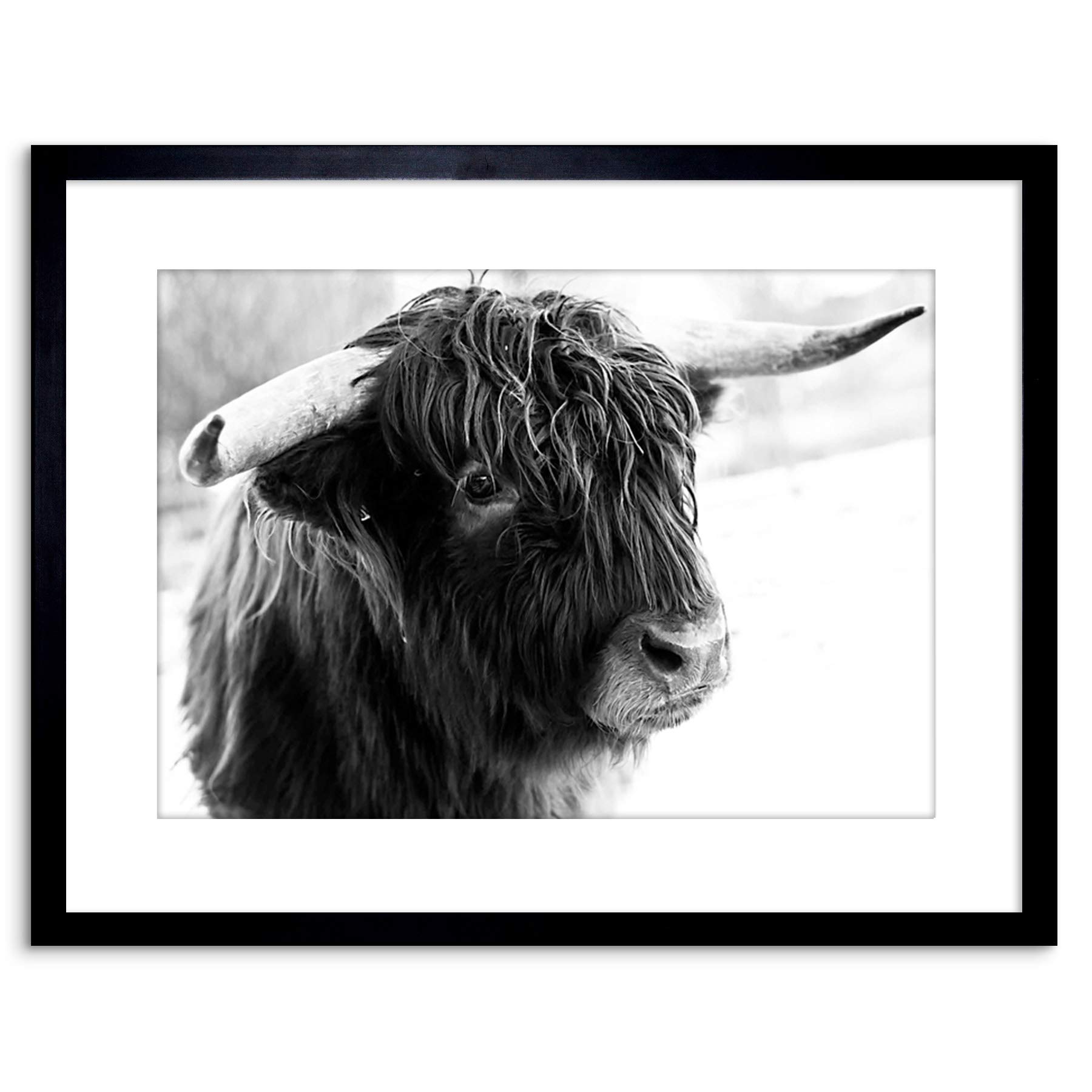 Wee Blue Coo Photo Composition Animal Livestock Highland Cow Bull Framed Wall Art Print