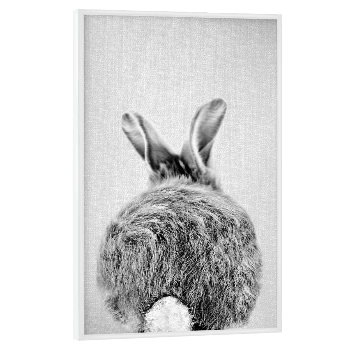 artboxONE Poster mit weißem Rahmen 60x40 cm Natur Baby-Kaninchenschwanz - Bild Tier Bad Hintern