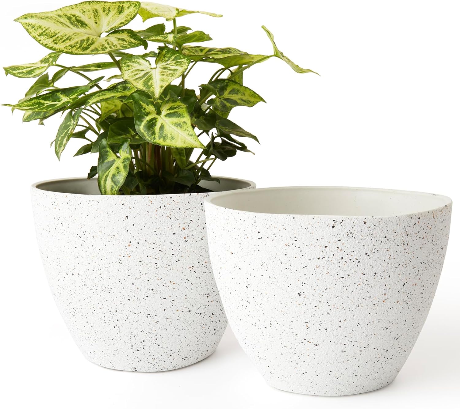 LA JOLIE MUSE Speckled Pots