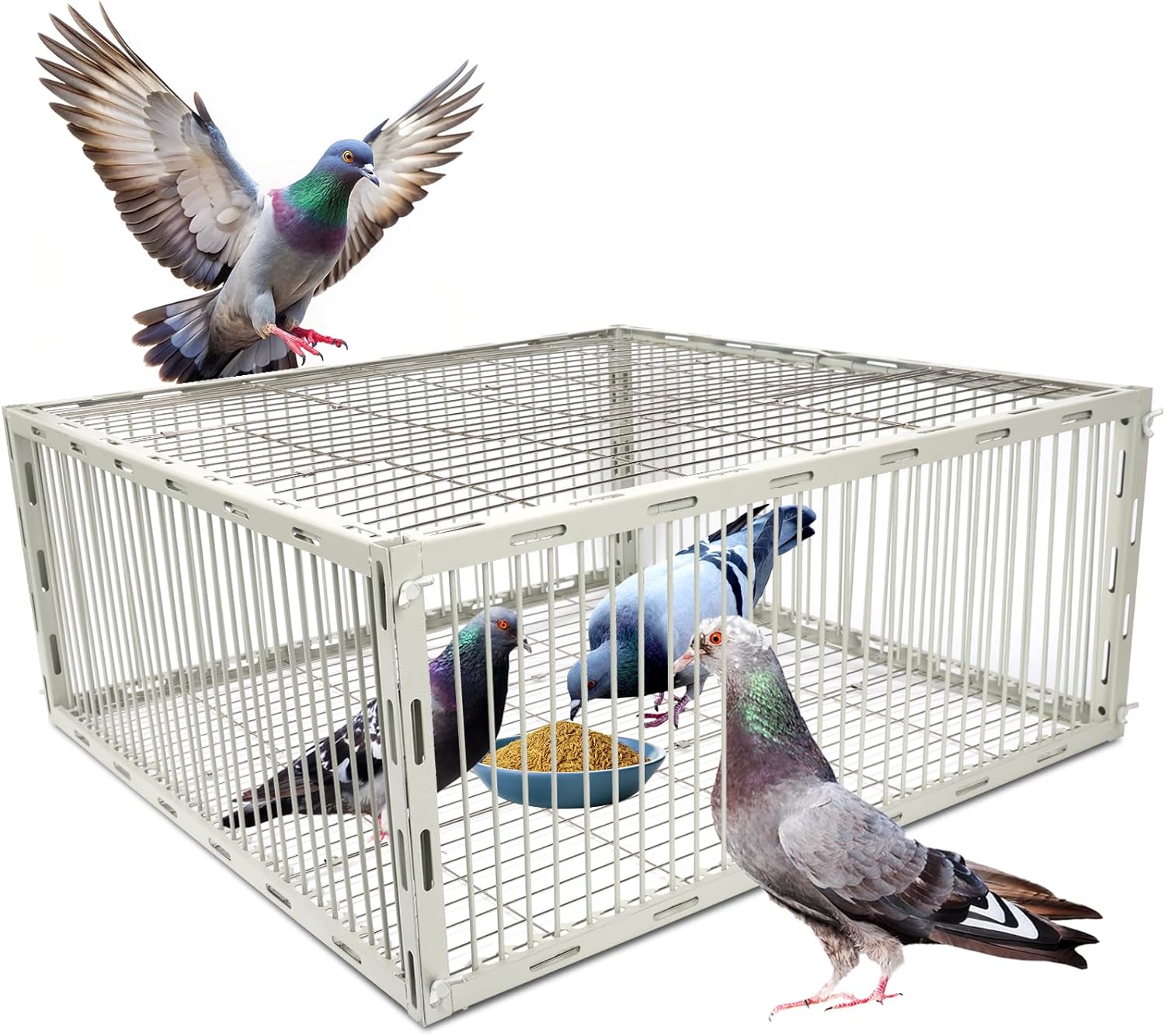 Heavy-Duty Pigeon Trap Cage with Escape-Proof Design – Auto Bird Traps for Large Birds | Iron Powder-Coated Bird Trap Cage for Multiple Pigeons – Rust-Resistant-S Size