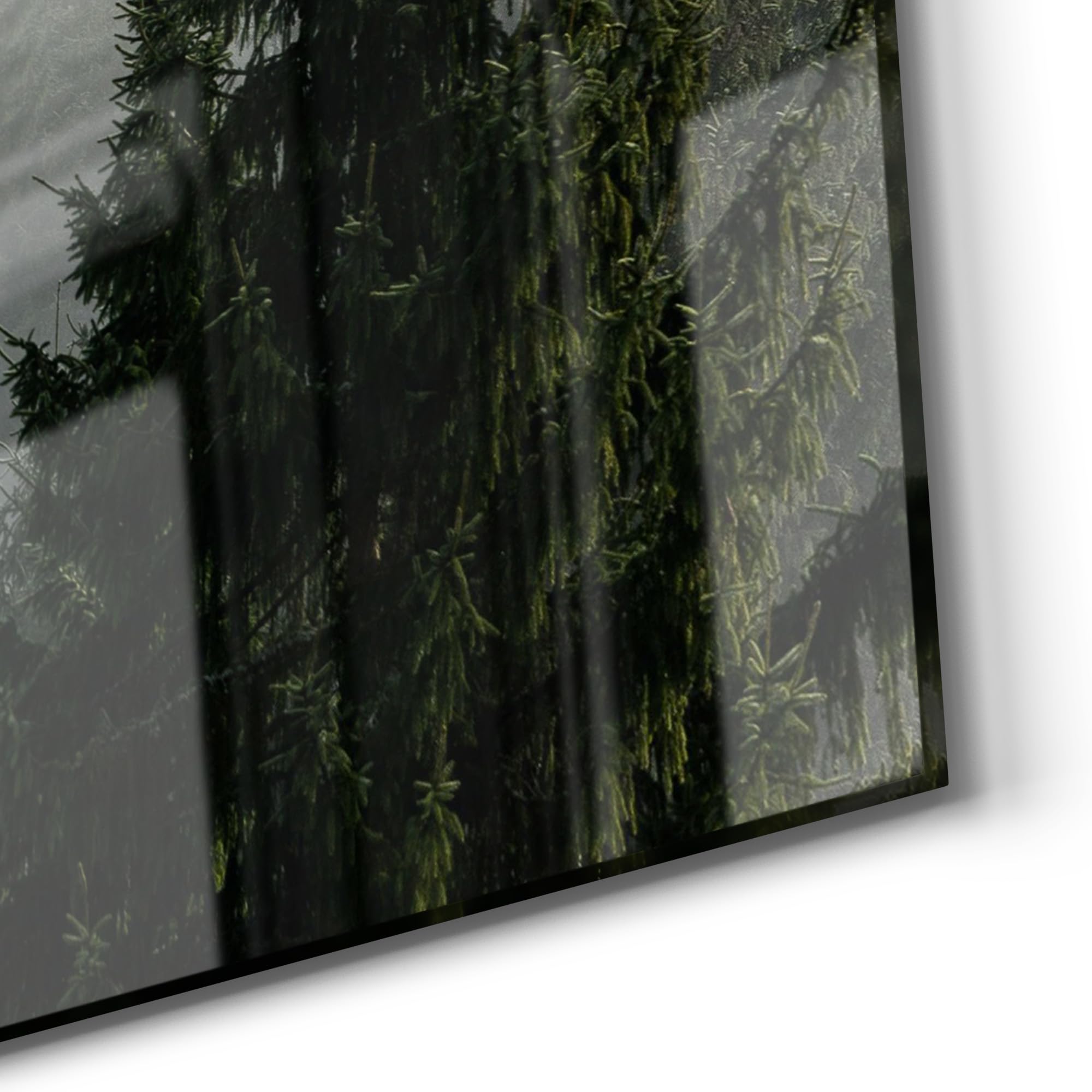 DEQORI Szklana tablica magnetyczna | wymiary 120 x 90 cm | motyw "Mistyka lasu mgłowego" | tablica memo ze szkła | tablica magnetyczna z magnesami, długopisem i ściereczką do kuchni i biura | tablica