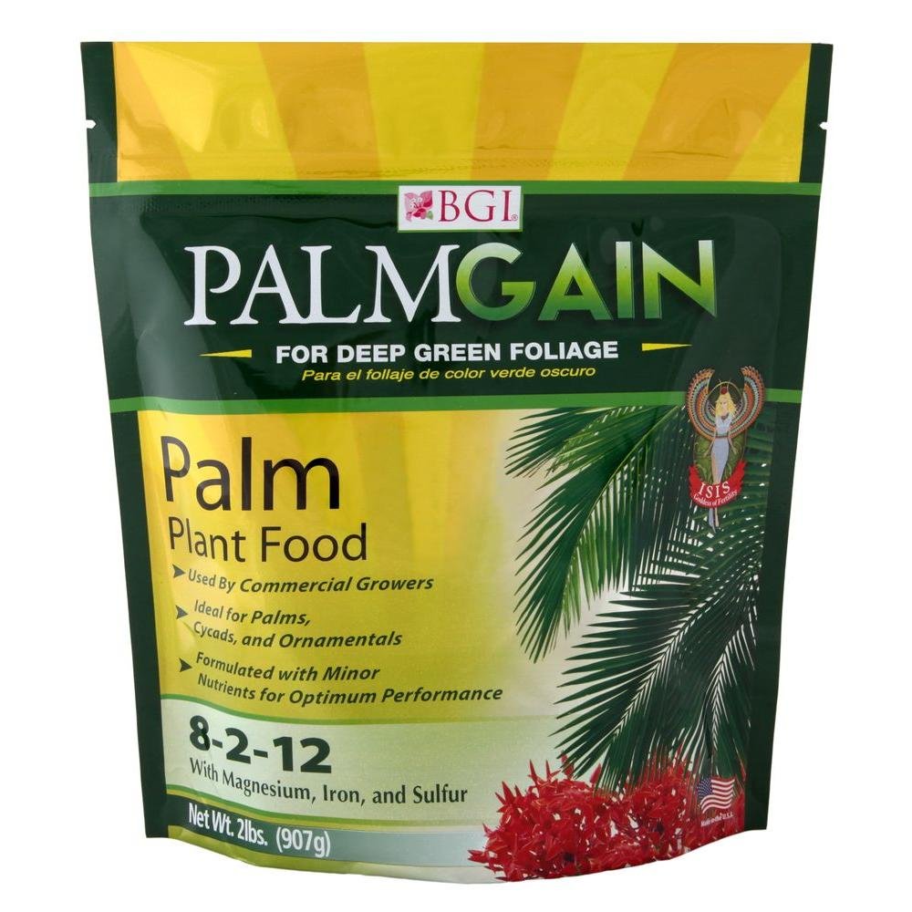 Sponsored Ad - BGI Fertilizers PALMGAIN, Palm Tree Fertilizer, Ferns, Cycads, Ixora, 2lb Bag