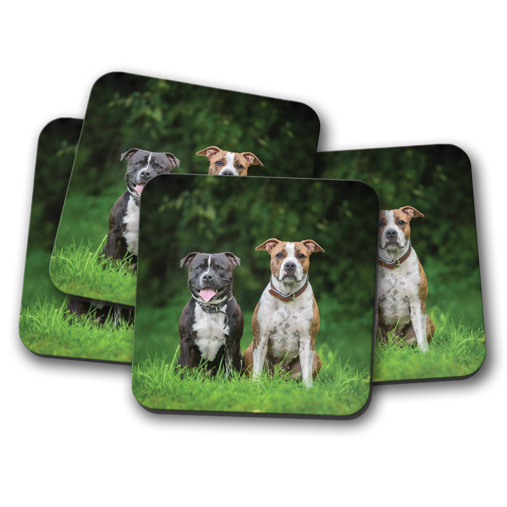 4 Set - Cute Staffie Dogs Coaster - Staffordshire Bull Terrier Pup #12372