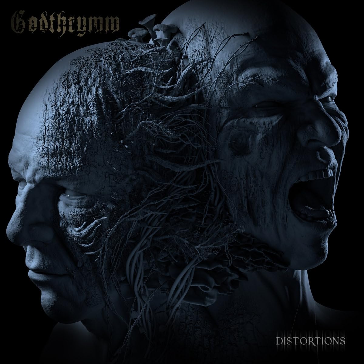 Distortions [VINYL]