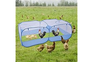 Compact Chicken Run for Small Spaces: Secure Play Area for your Pets