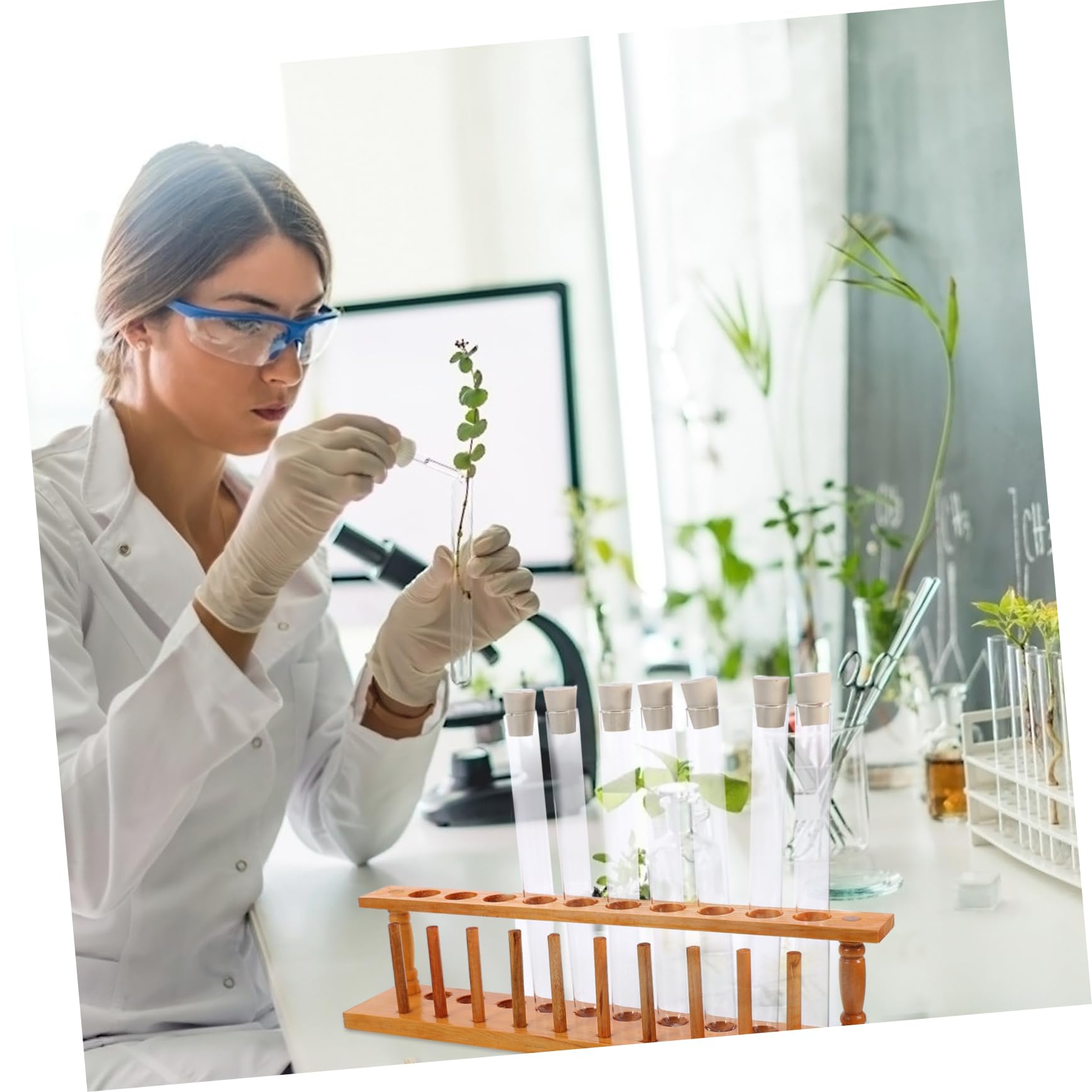 Ciieeo Tubo De Ensayo Con Tapa Kit De 10 Tubos Soporte De Madera Ideal Para Química